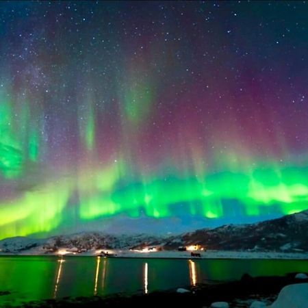 In The Heart Of The Aurora Borealis - Tromso City Zewnętrze zdjęcie