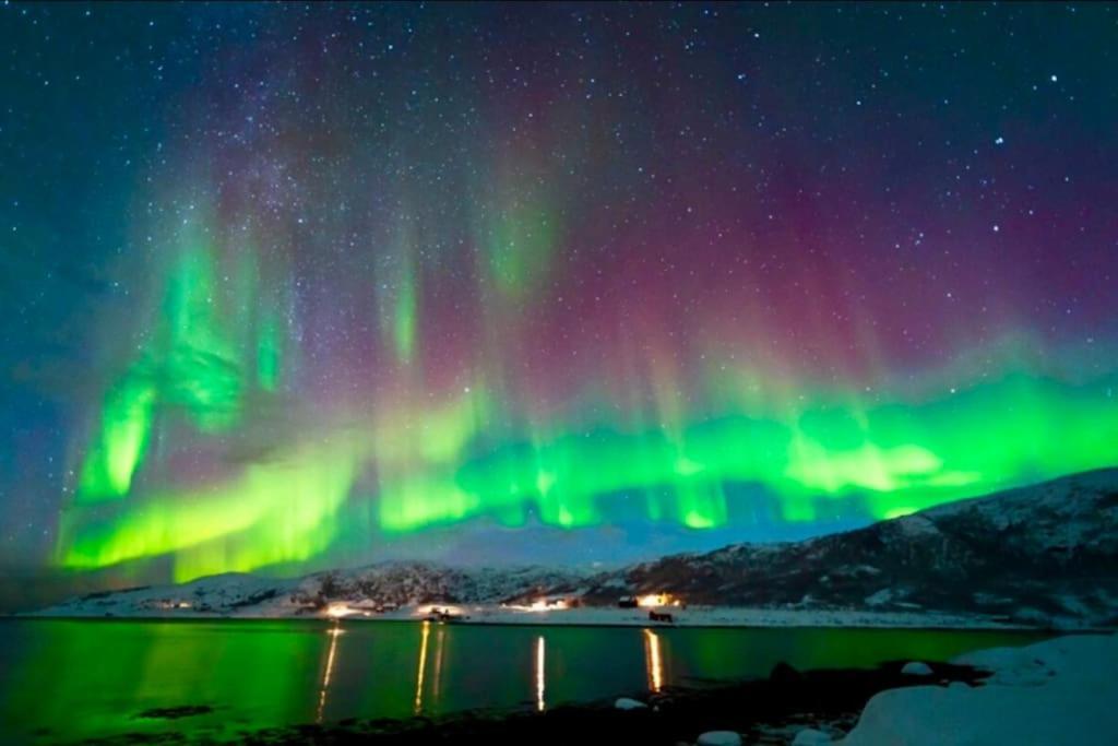 In The Heart Of The Aurora Borealis - Tromso City Zewnętrze zdjęcie