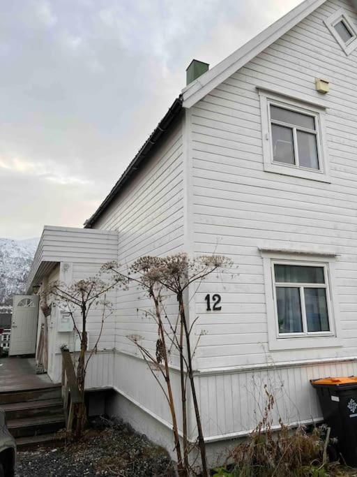 In The Heart Of The Aurora Borealis - Tromso City Zewnętrze zdjęcie