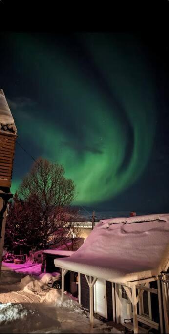 In The Heart Of The Aurora Borealis - Tromso City Zewnętrze zdjęcie